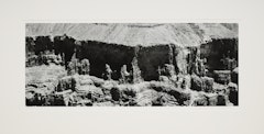 Toroweap, Arizona