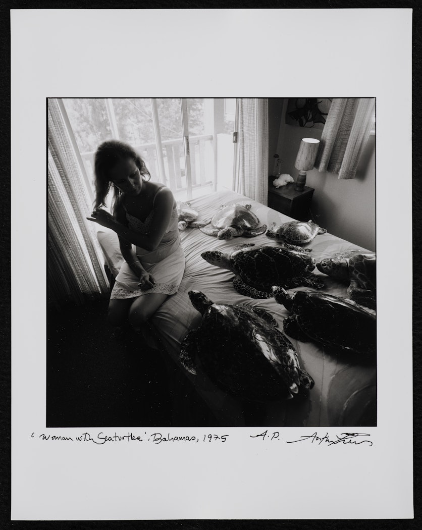 Woman with Sea Turtles, Bahamas