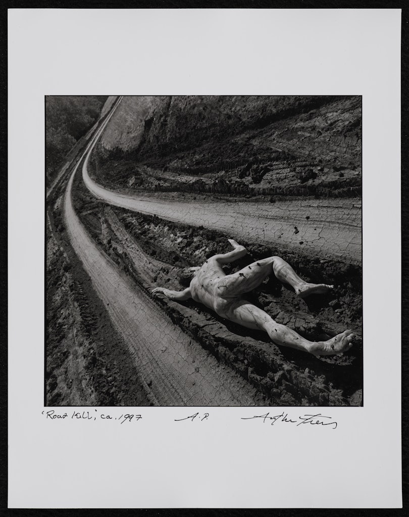 Road Kill, San Luis Obispo, California