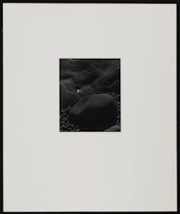 Nahant Beach, Massachusetts from Portfolio II