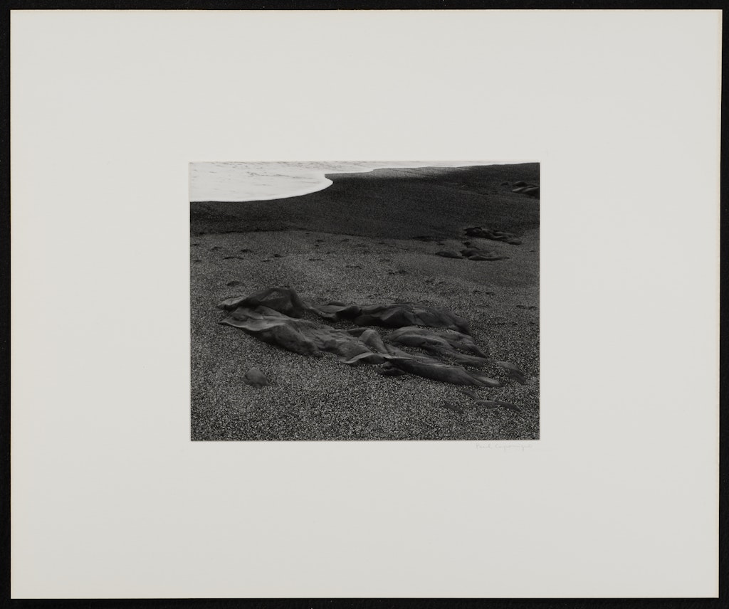 Pebble Beach, California from Portfolio II