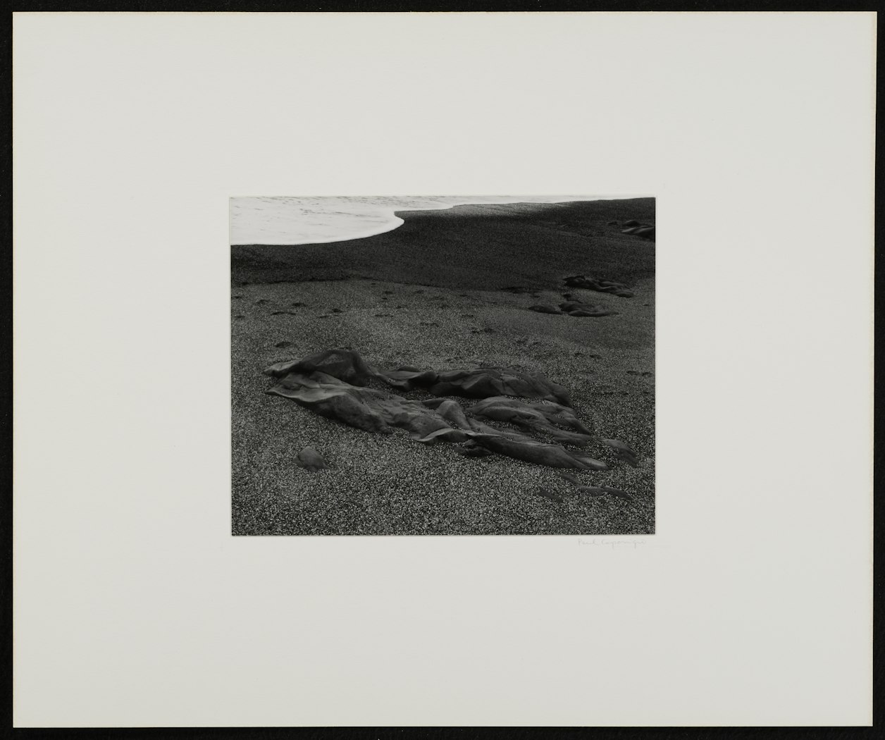 Pebble Beach, California from Portfolio II