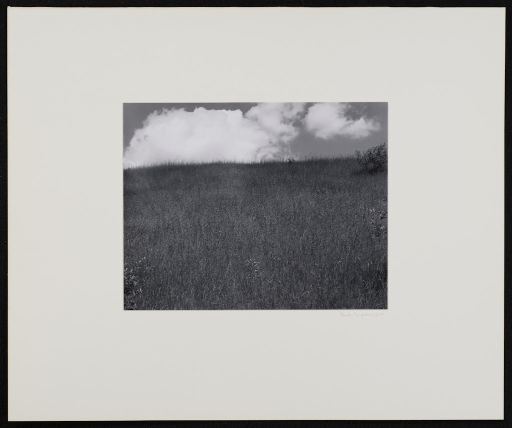 Landscape, Kalamazoo, Michigan from Portfolio II