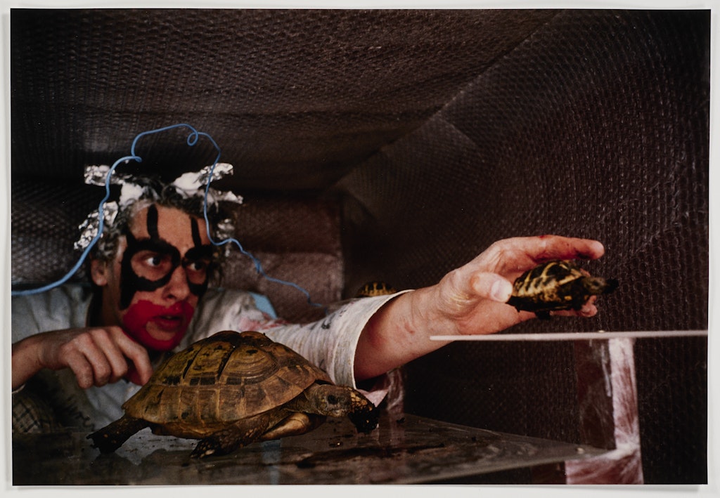 MeterMegaKodeinDiskontliVirulent2x1