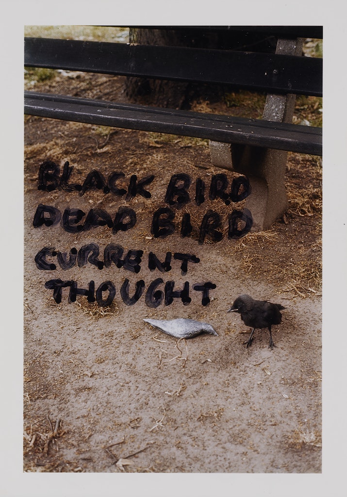 Black Bird/Dead Bird/Current Thought