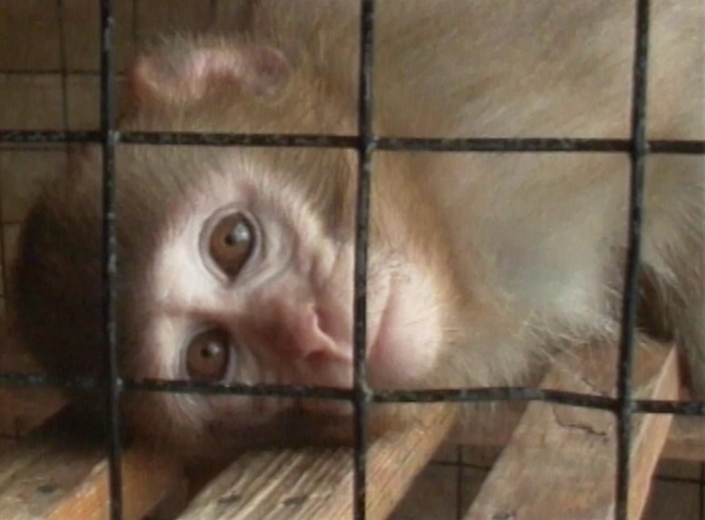 Baghdad in No Particular Order