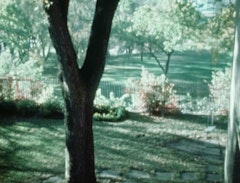 Reflections in Morning’s Eye