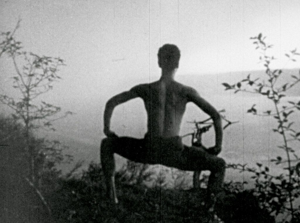 A Study in Choreography for the Camera