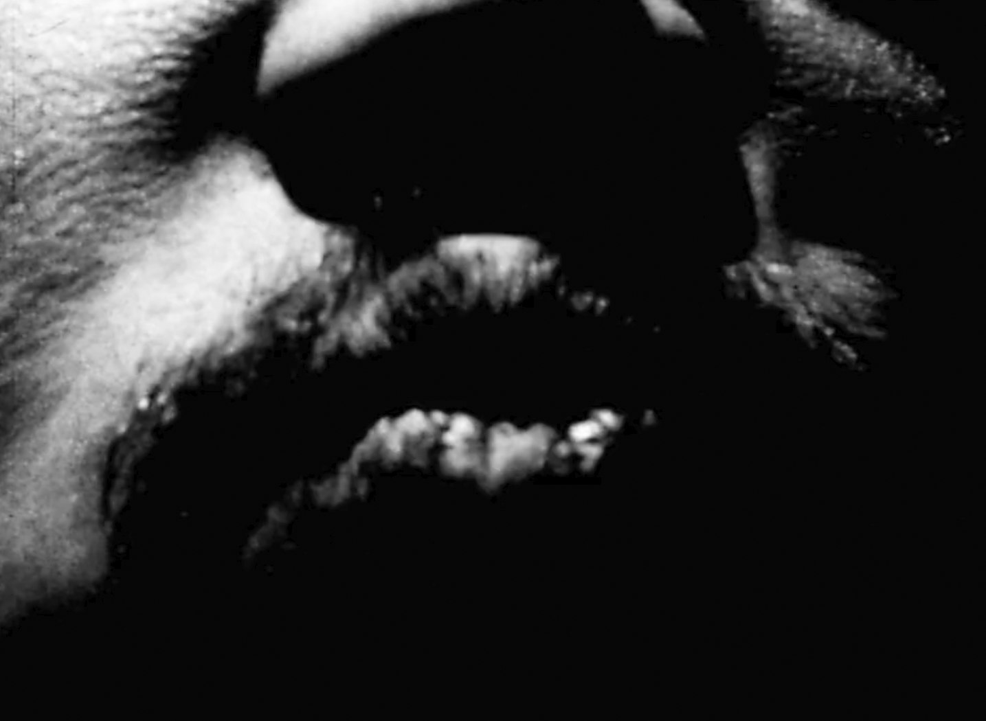 Invocation of Canyons and Boulders (for Stan Brakhage)