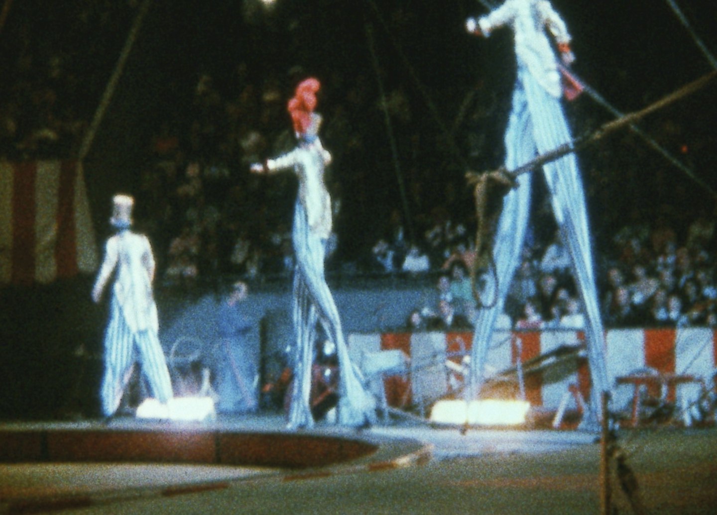 Notes on the Circus