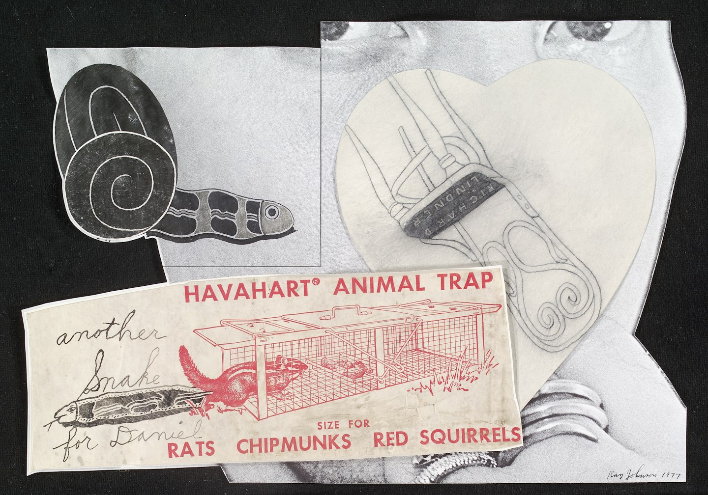 Havahart
