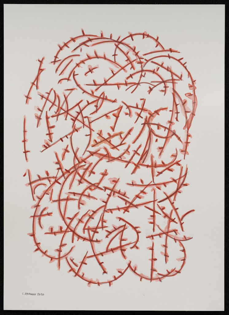 Linear Fictions #113