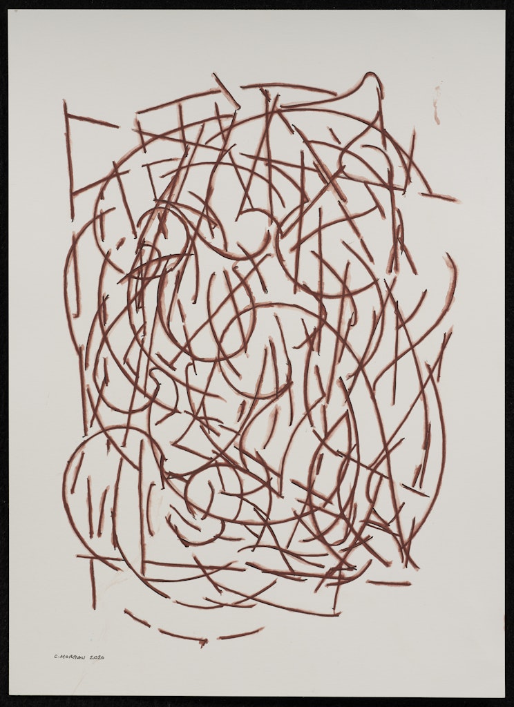 Linear Fictions #132