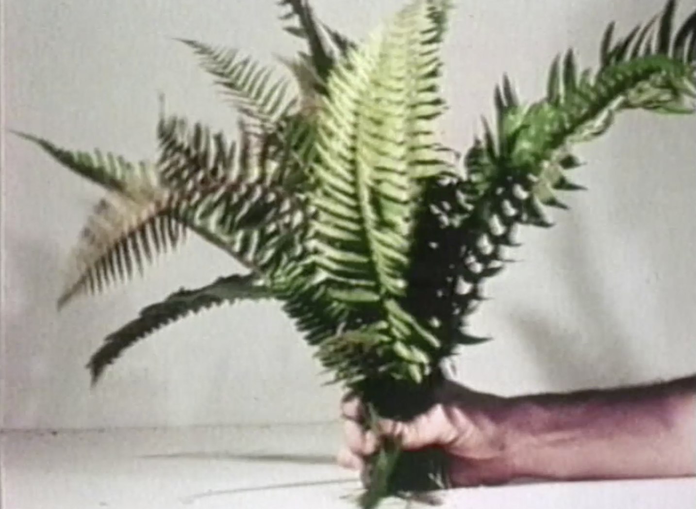 Oppenheim Tape 1: Aspen Projects, 1970