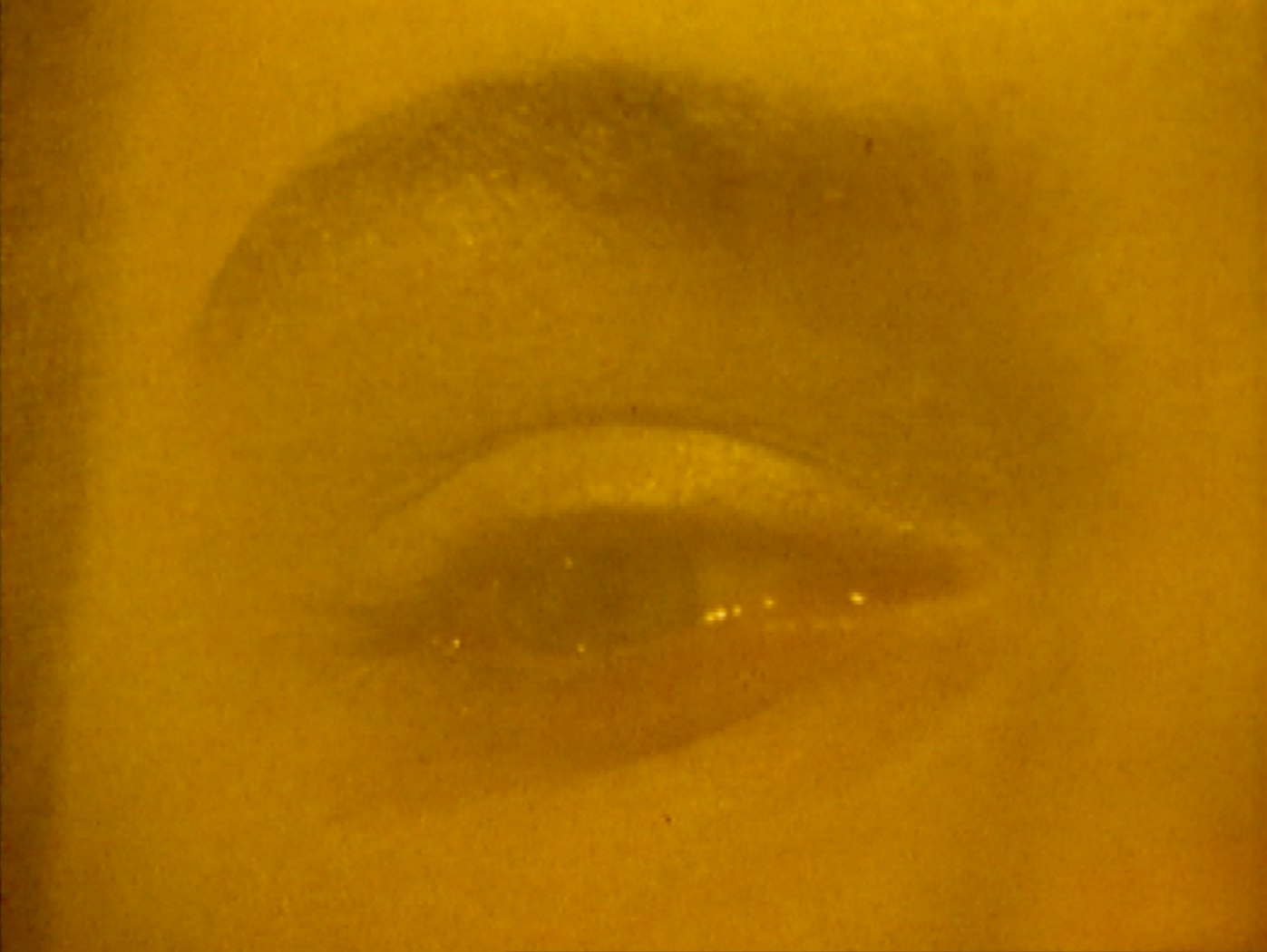 The Immediate Subject