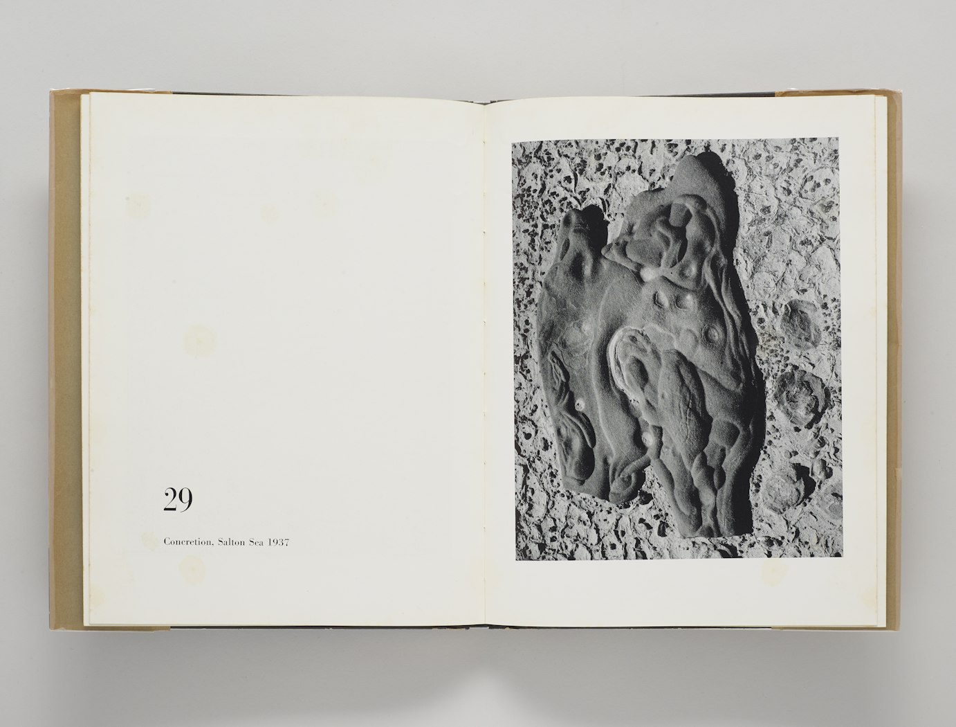Fifty Photographs