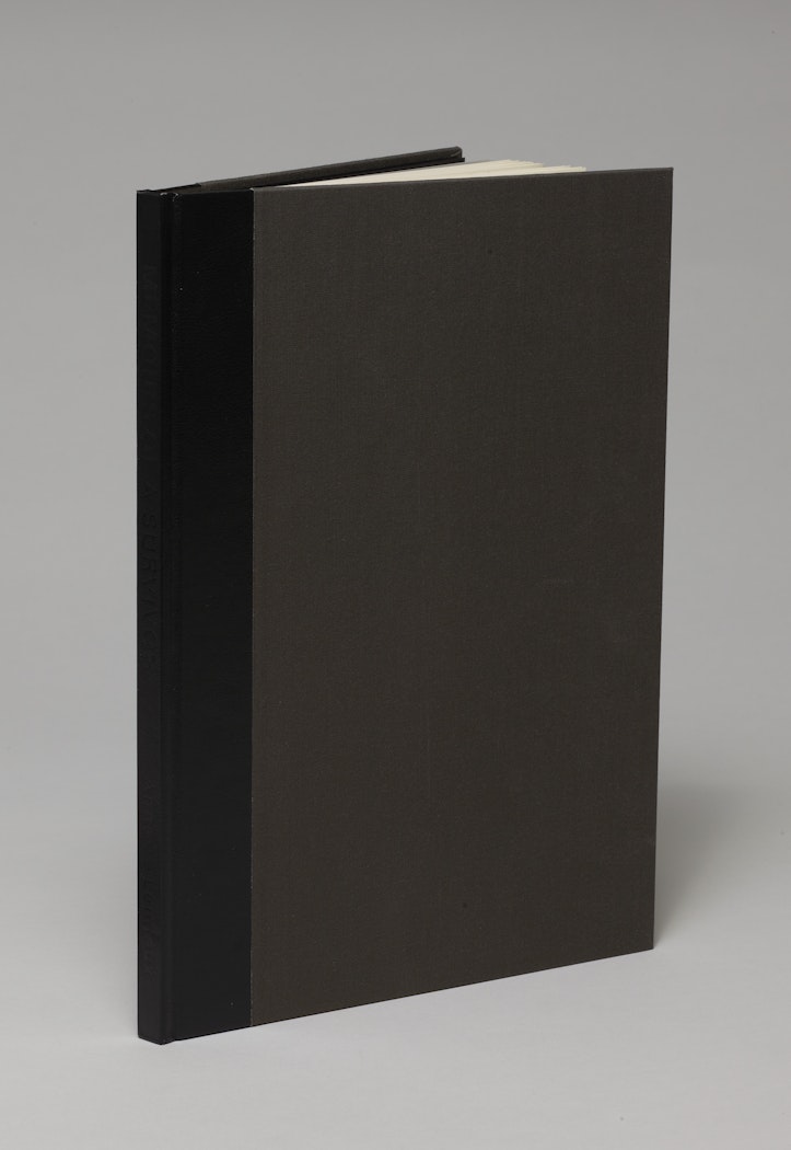 Memoirs of a Survivor