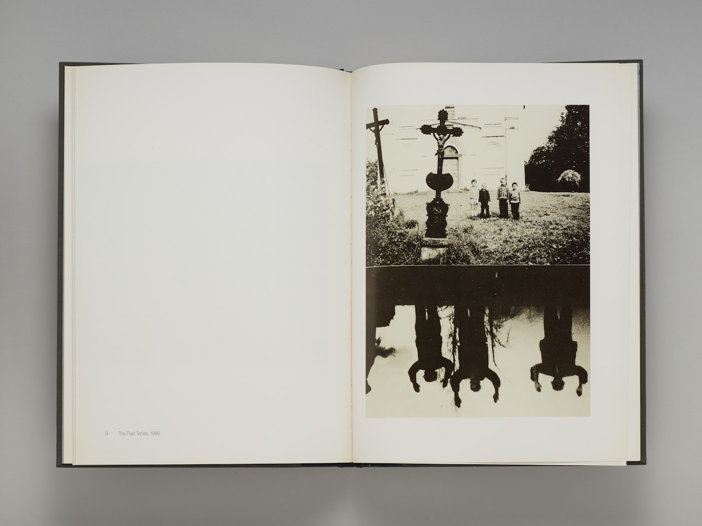 Memoirs of a Survivor