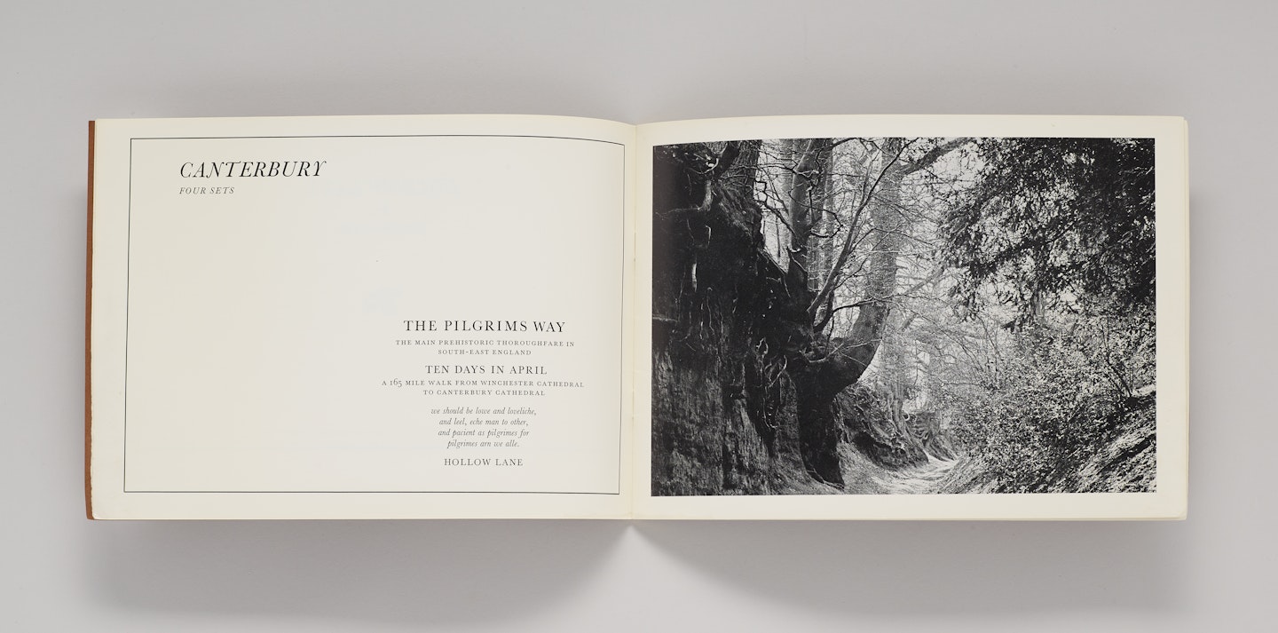 Hollow Lane