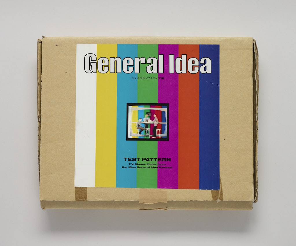 Test Pattern TV Dinner Plate