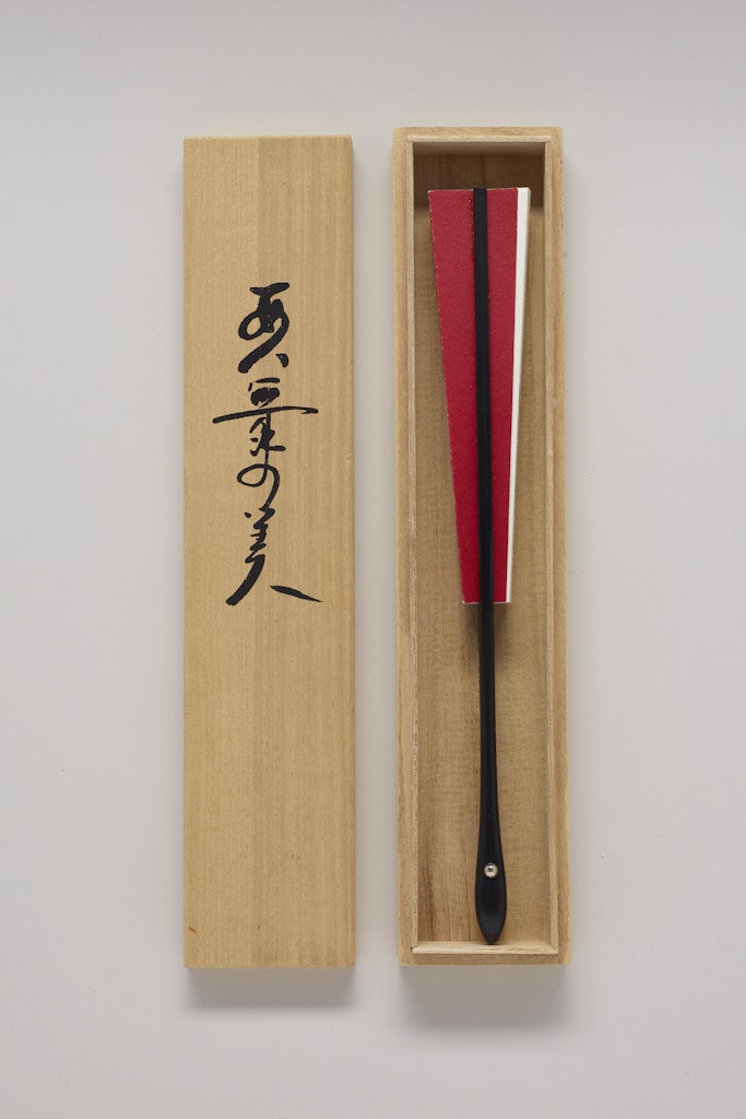 Ambiguous Beauty / Animai-no-bi