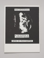 David Wojnarowicz: In the Shadow of Forward Motion