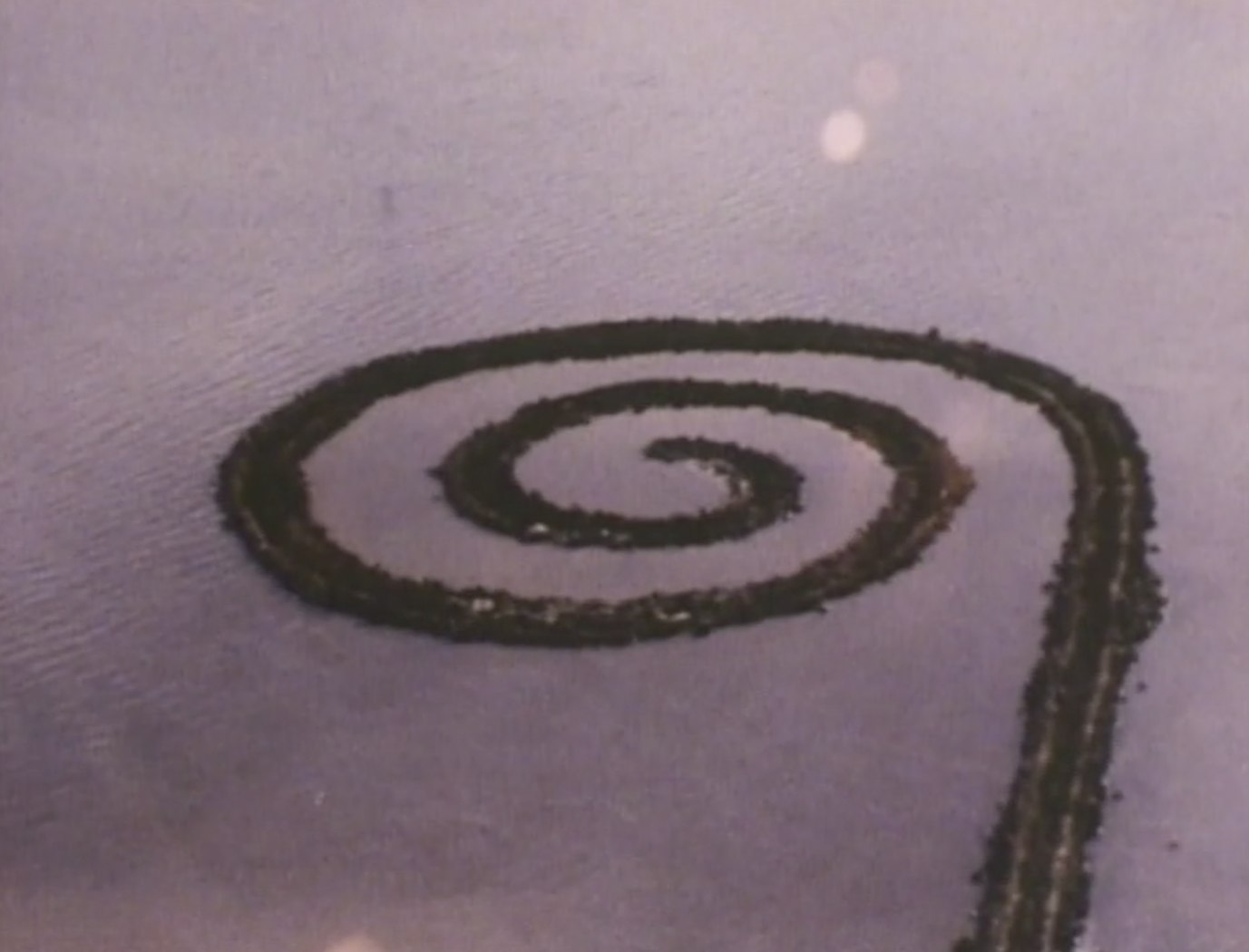 Spiral Jetty