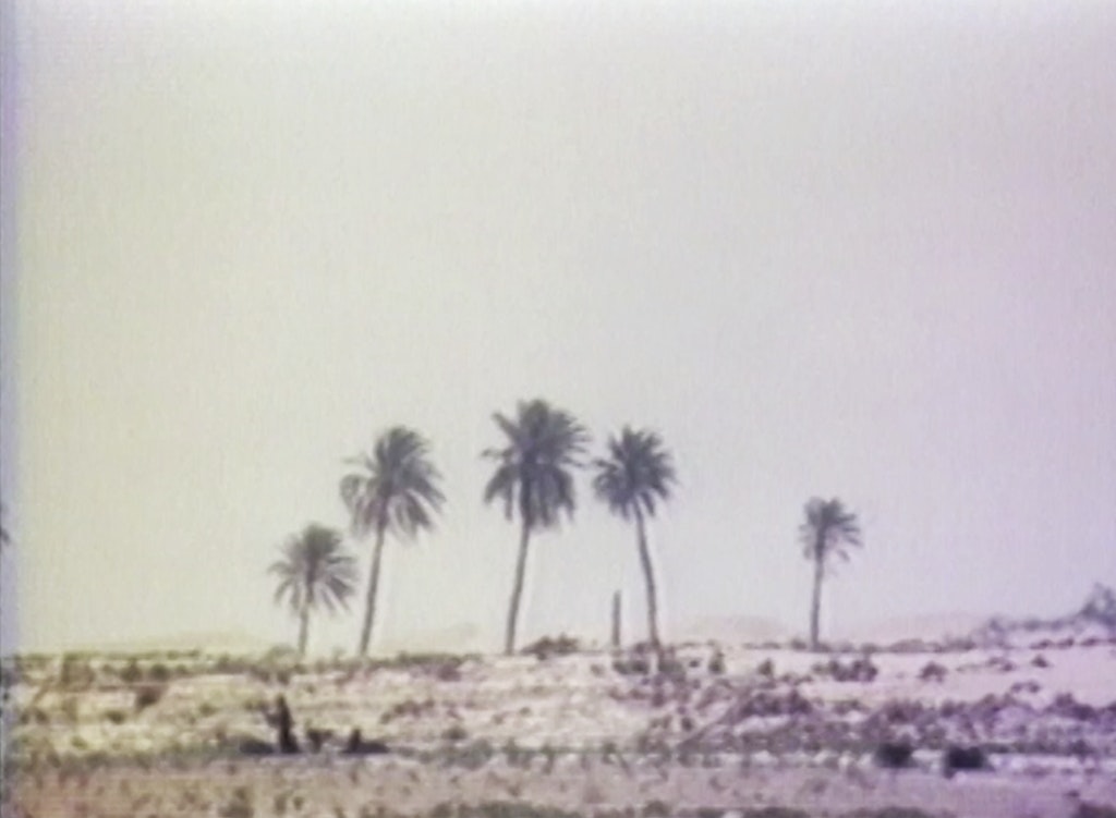 Chott el-Djerid  (A Portrait in Light and Heat)