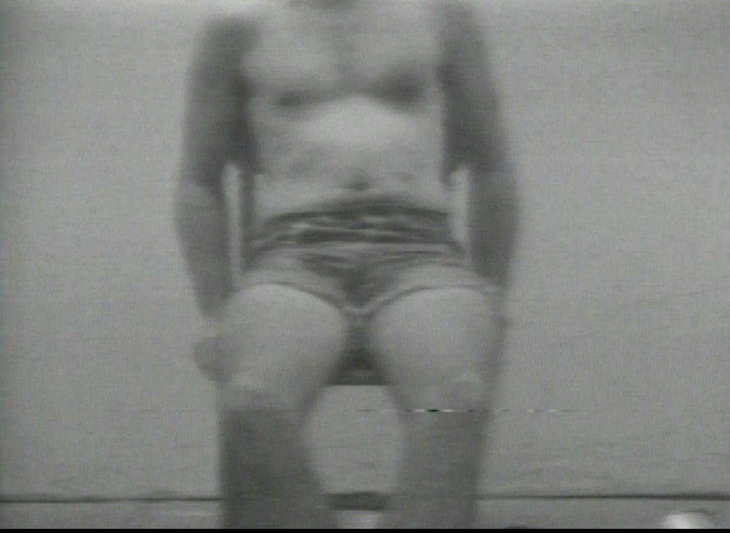 William Wegman: Selected Works 1970-1978