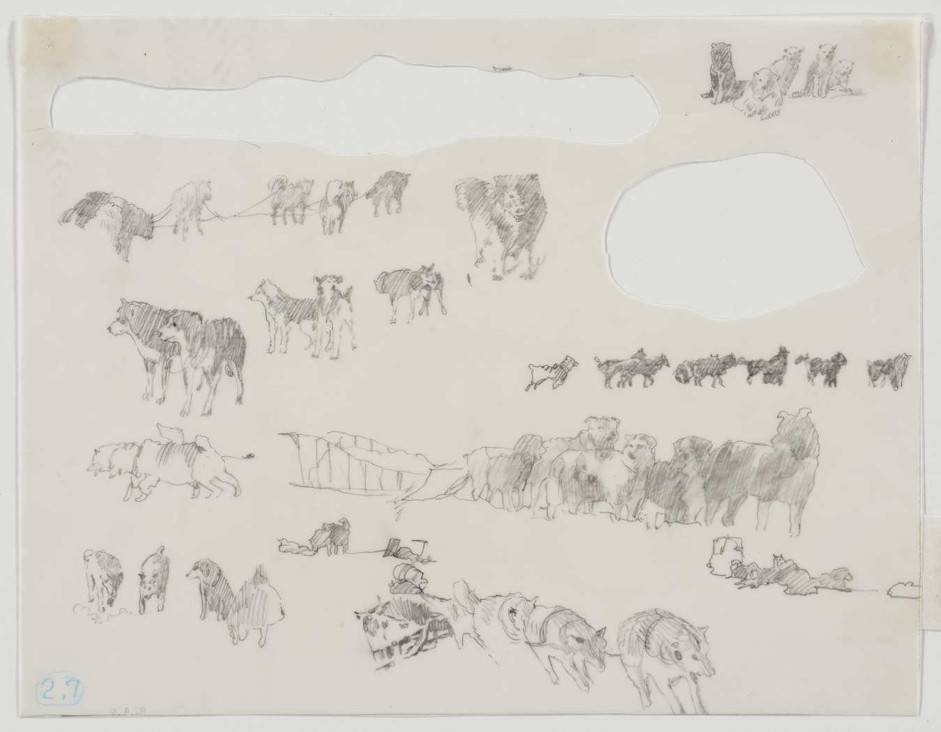 Studies for White on White