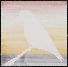 Psyche: The Blue Martin