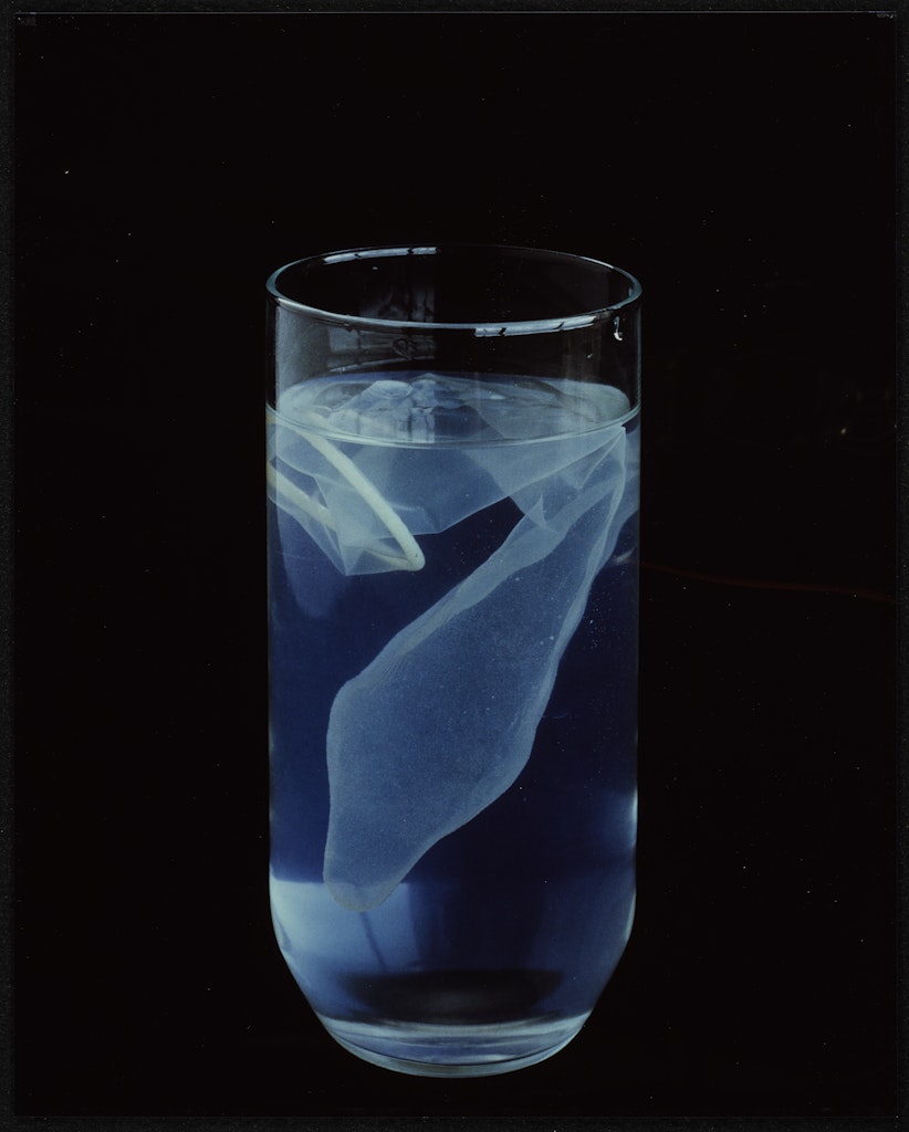 Untitled from Some Glasses of Water Series