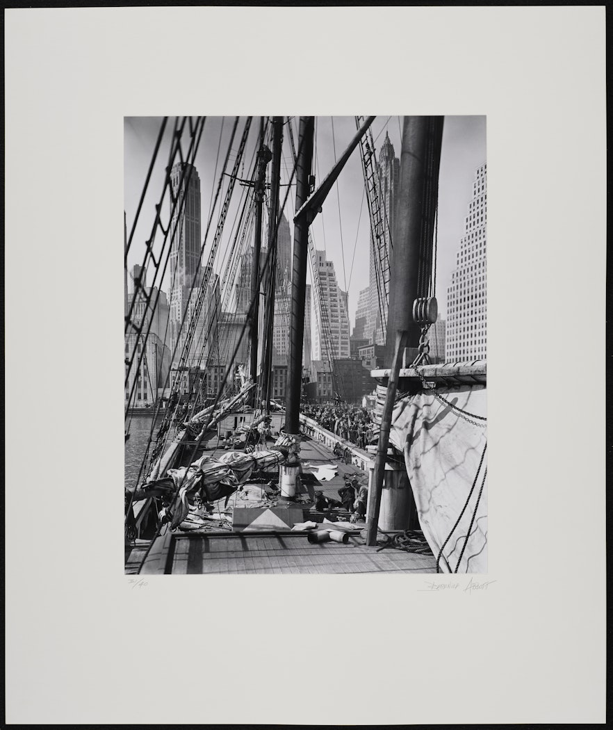 Theoline from the portfolio Retrospective
