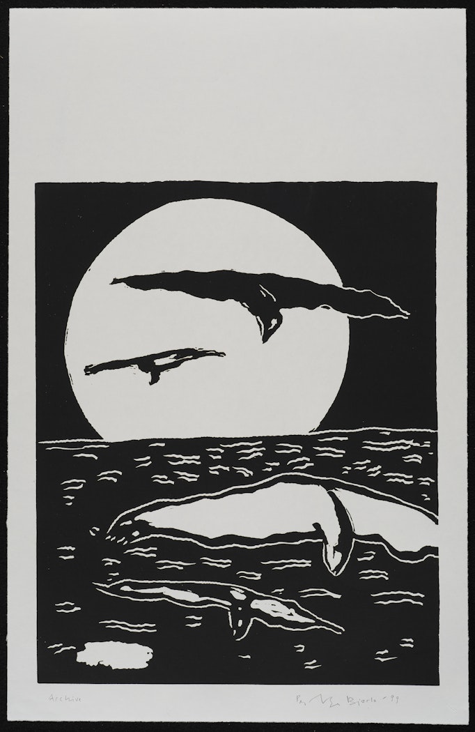 Silence: Flight, Dive, Moonshine