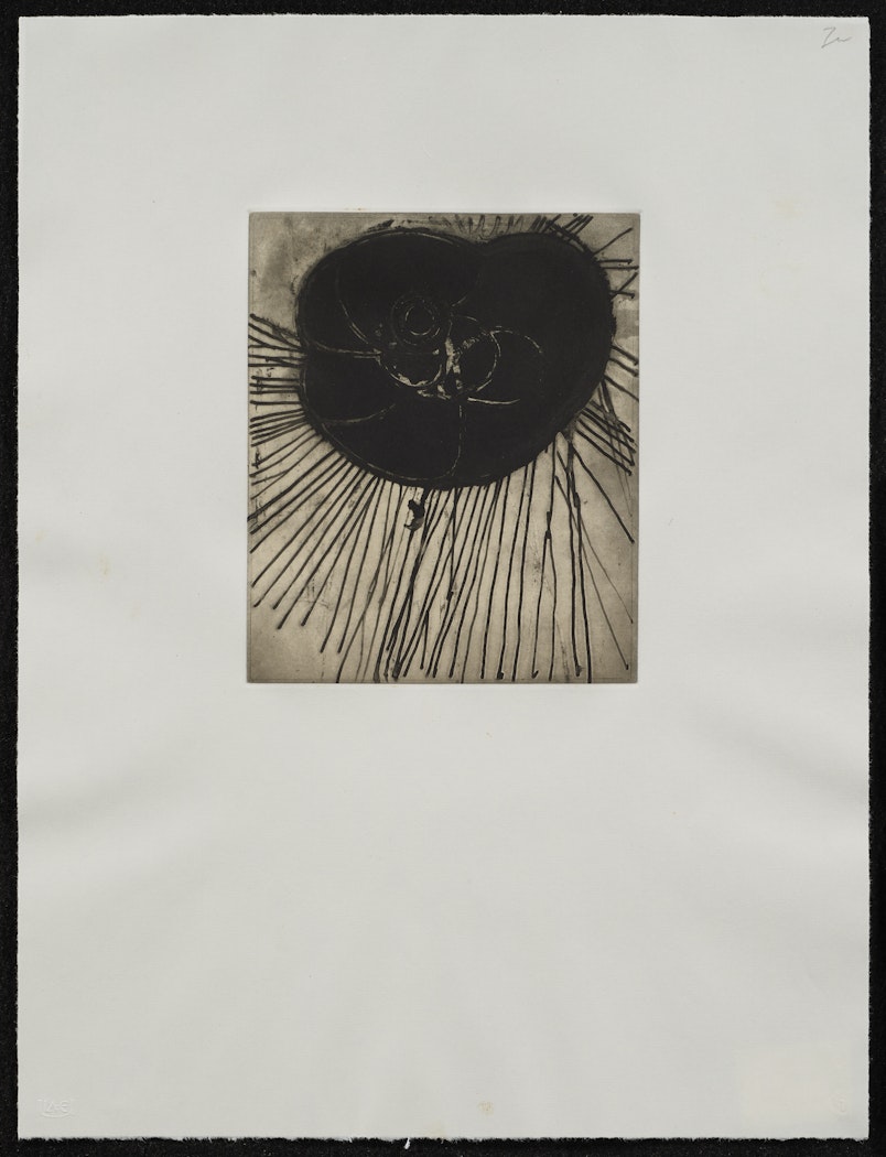 Fourteen Etchings