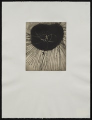 Fourteen Etchings