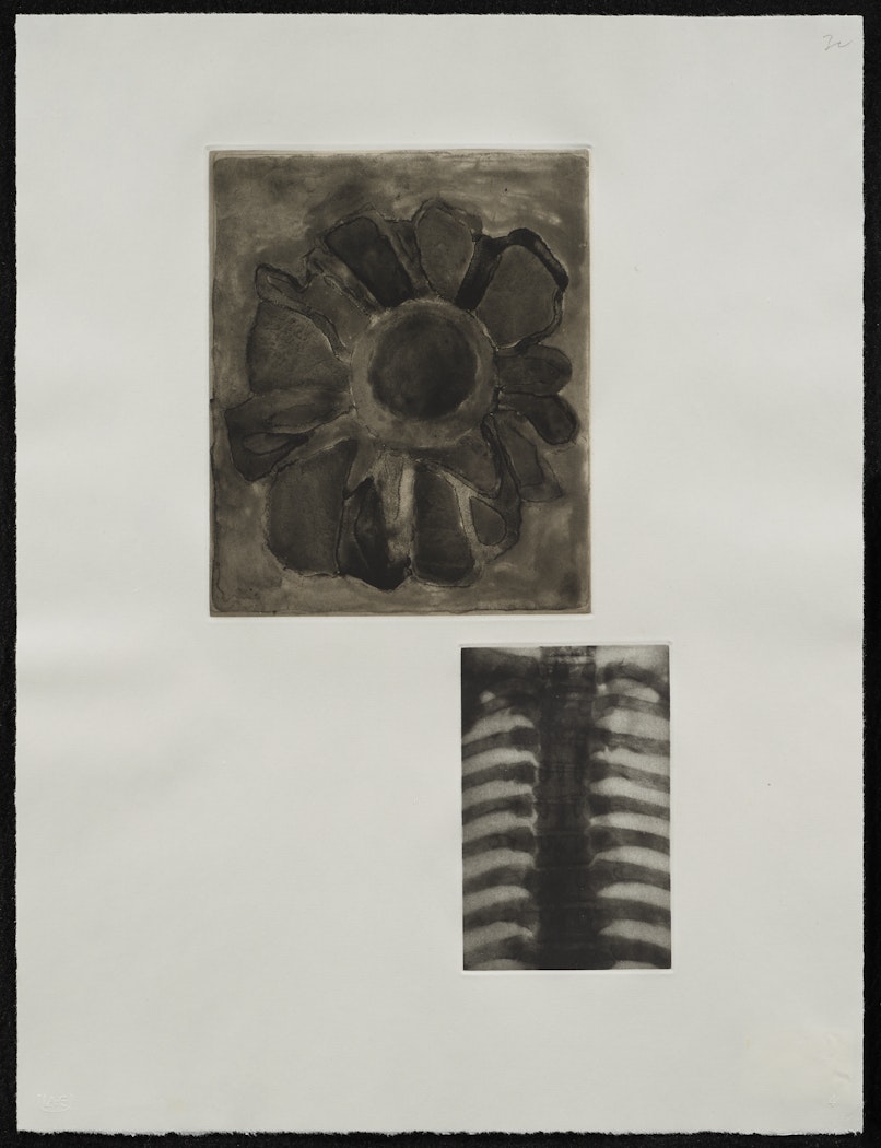 Fourteen Etchings