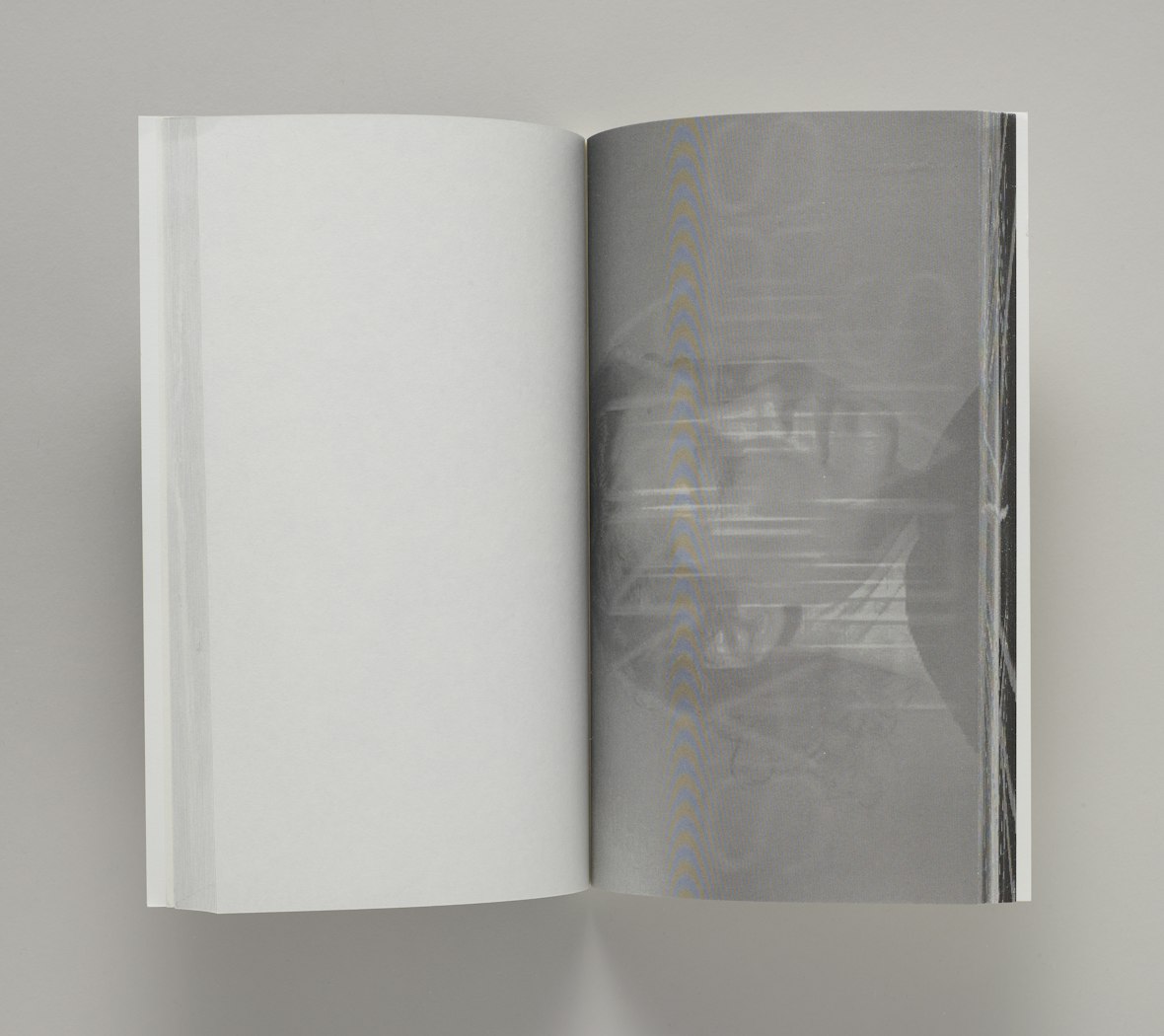 Anna Sanders Films: Identity Spot