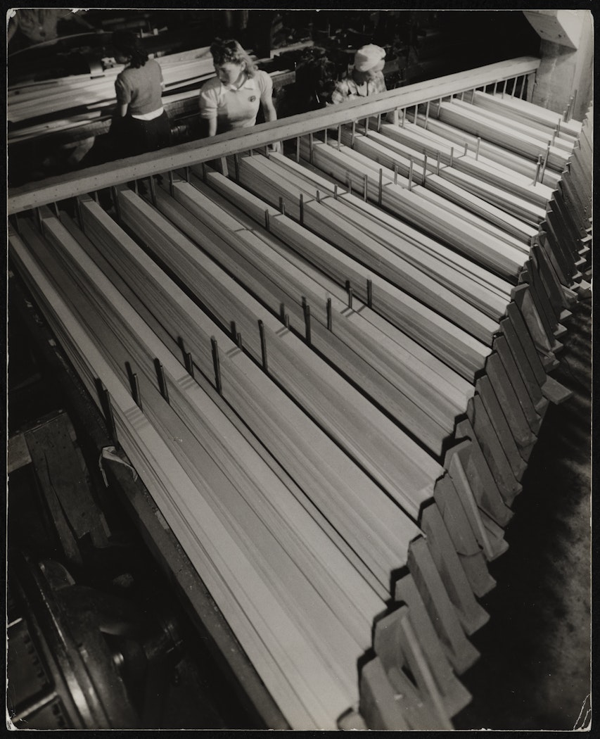 Venetian Blind Slats - Sorting to Length from The Red River Photographs