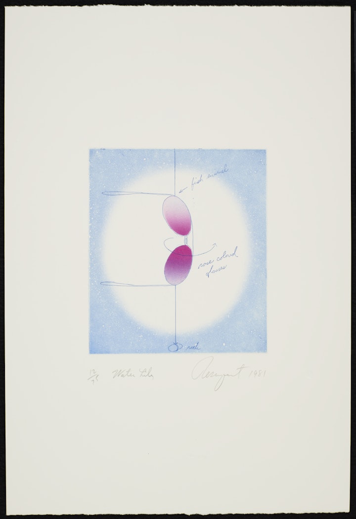 Water Lily from the Anthology Film Archives portfolio 