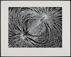 Magnetic Field from the portfolio Science