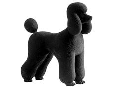 Pudel (Poodle)