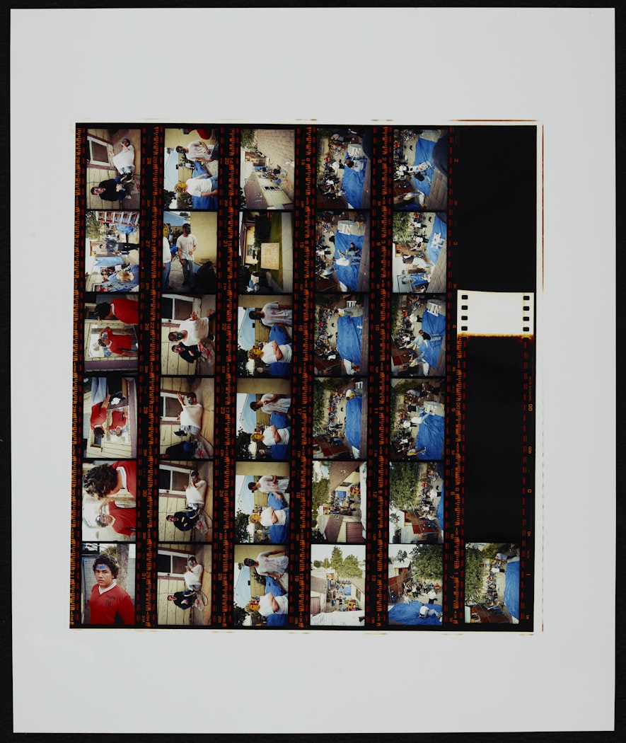 Studies for the film "BB" 