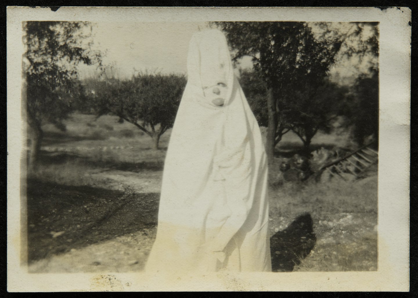 Anonymous photographs of Halloween in America and Krampus and Perchten festivities in Austria from Studies for the films "Spook House" and "Kranky Klaus"