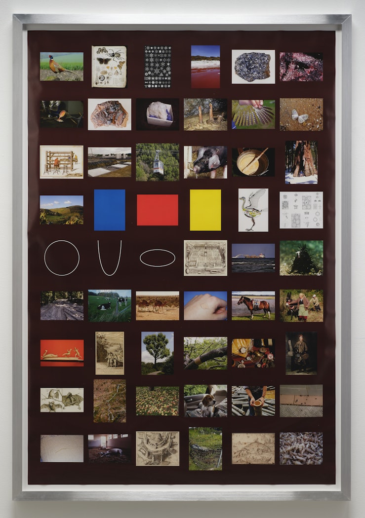 Images of Kant's Critique of the Power of Judgment