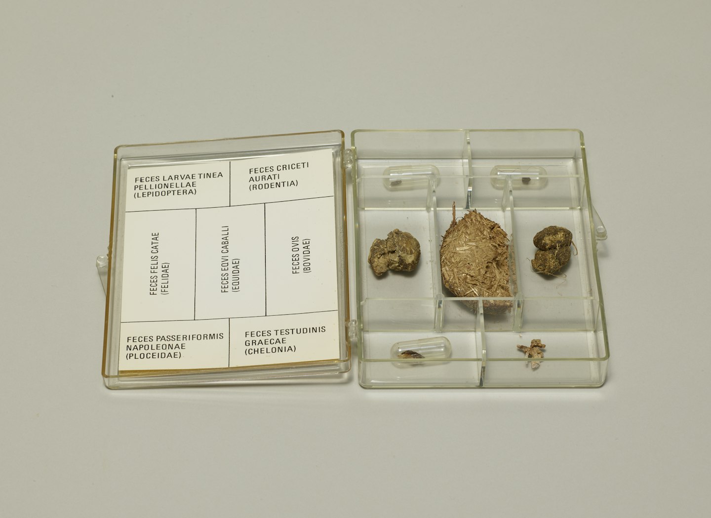 Excreta Fluxorum
