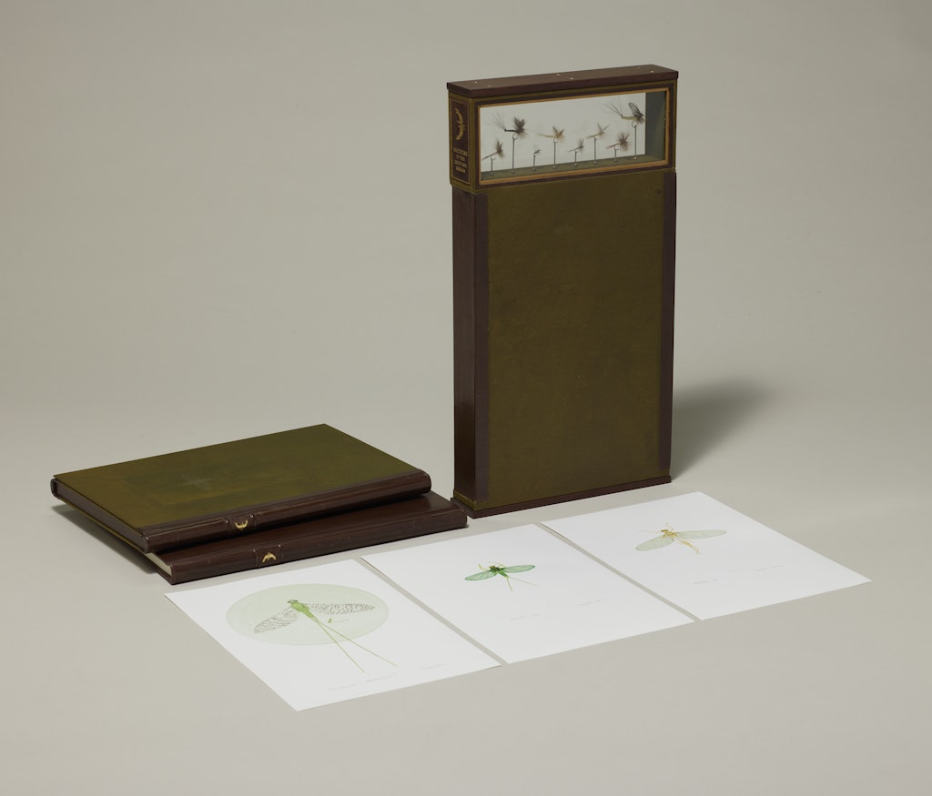 Mayflies of the Driftless Region