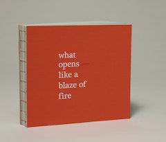 what opens — like a blaze of fire