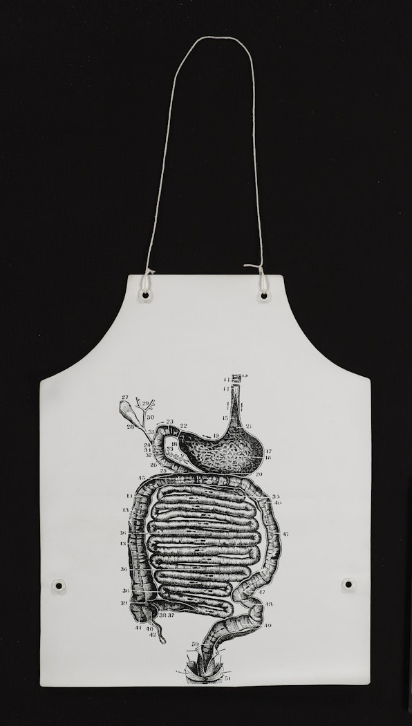 Stomach Anatomy Apron