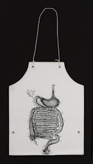 Stomach Anatomy Apron